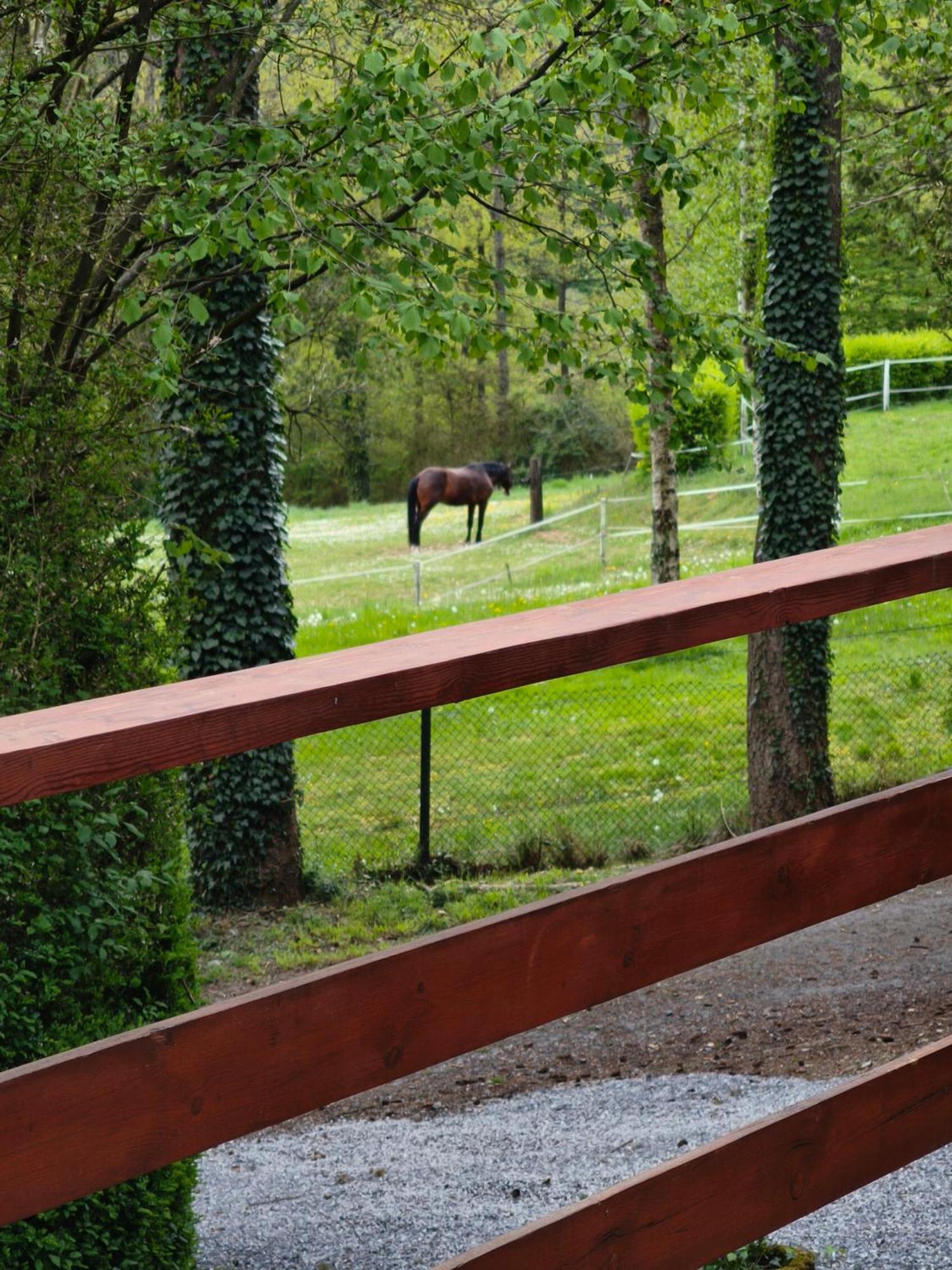 Au Bois Charmant Waulsort Habitación foto